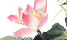 2022年8月19日提新车好不好 是提新车的大吉日子吗