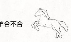属马和属羊合不合