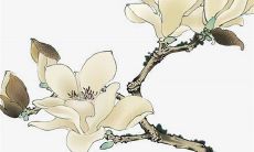 2022年8月14日提车好不好 今日是黄道吉日吗