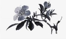 2022年8月4日是提车好日子吗 买车提车合适吗