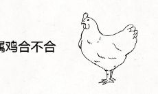 属鸡和属鸡合不合