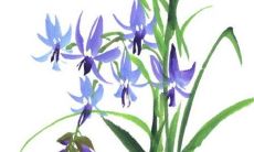 黄道吉日查询:2022年8月13日可以提车吗