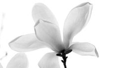 2022年8月10日可以提车吗 适不适合买新车