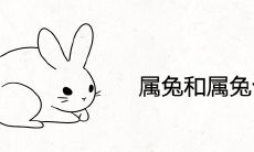 属兔和属兔合不合