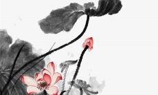 2022年8月21日能提车吗 适不适合买新车