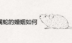 属鼠和属蛇的婚姻如何