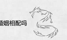 属龙和属蛇的婚姻相配吗