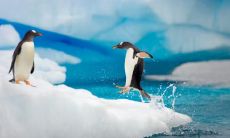 裴伟西姓名评分97分