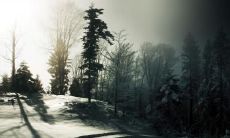 宣正祥姓名评分86分