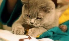 熊云明姓名评分69分