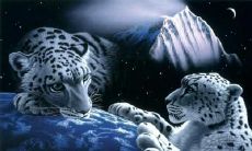 喻亦姓名评分93分