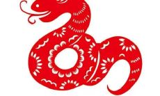 属龙卯时出生的人姻缘表现如何