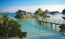 云希安姓名评分86分