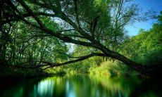 江小強姓名评分77分