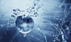 滕国兴姓名评分97分