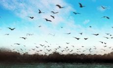 白羊座男怎么看：中国男人被吐槽没品位