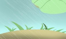 2020年谷雨那天结婚好吗