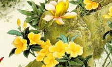 2022年农历四月乔迁黄道吉日 搬家好日子一览表