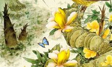 2022年农历四月乔迁新居黄道吉日 搬家好时机