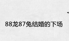 88龙87兔结婚的下场