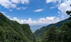 1976年9月出生属龙人婚姻运势如何 农历八月属龙人命运