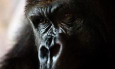 管文魁姓名评分103分