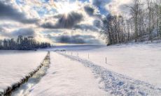 颜仁刚姓名评分79分