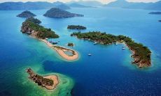 宋展鈞姓名评分73分