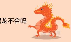 87属兔和88属龙不合吗 是断头婚还是一等婚