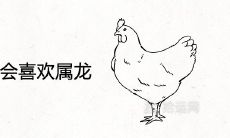 为什么属鸡会喜欢属龙 真的是龙凤绝配吗