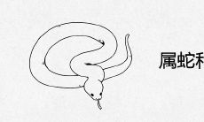 属蛇和属羊合不合