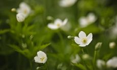 谈羽姓名评分82分