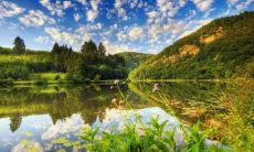 刁有金姓名评分82分