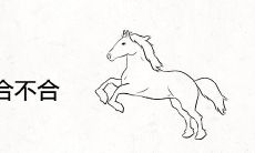 属龙和属马合不合