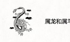 属龙和属羊合不合