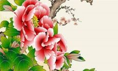 2022年7月17日提车好不好 是提新车的大吉日子吗