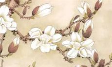 2022年7月20日适合提新车吗 老黄历查询