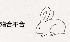 属兔和属鸡合不合