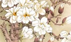 2022年7月19日可以提车吗 适不适合买新车