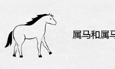 属马和属马合不合