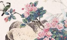 2022年7月13日是提车好日子吗 买车提车合适吗