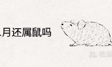 2021年1月还属鼠吗 腊月鼠和正月牛哪个好