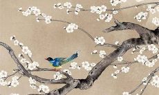 2022年7月24日是提车好日子吗 买车提车合适吗