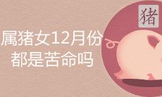 属猪女12月份的都是苦命吗