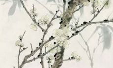 海中金命在什么方向比较好 大吉方位