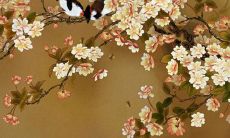 免费姓名配对测试姓名缘分测试 姓名配对无危害