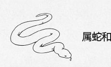 属蛇和属猪合不合