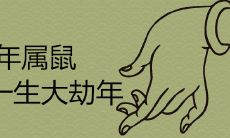 84年属鼠一生大劫年在哪几年