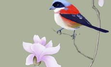 婚姻配对男女 免费测试八字最准合婚