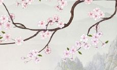 测一下名字好不好 算最准八字好名